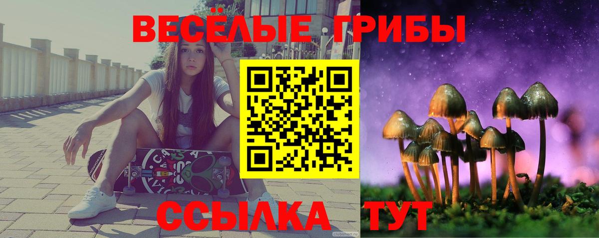 Вязники  Галлюциногенные грибы мицелий  Вход с VPN 