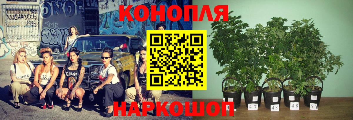 Бошки марихуана Amnesia  Канабис конопля  Вязники  Вход с VPN 